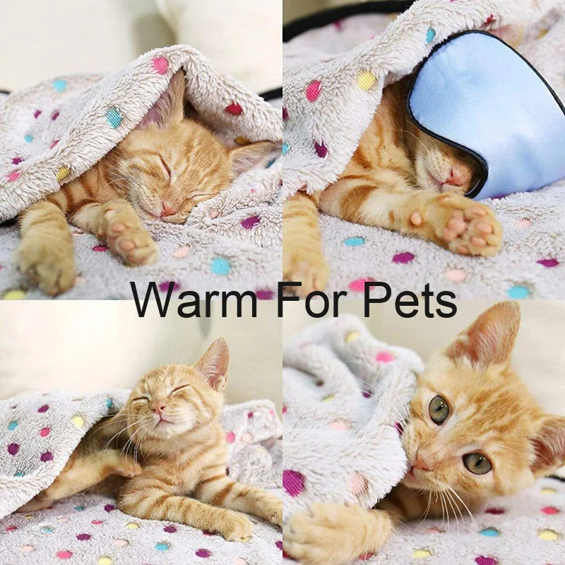 CosyPaws Snuggle Blanket