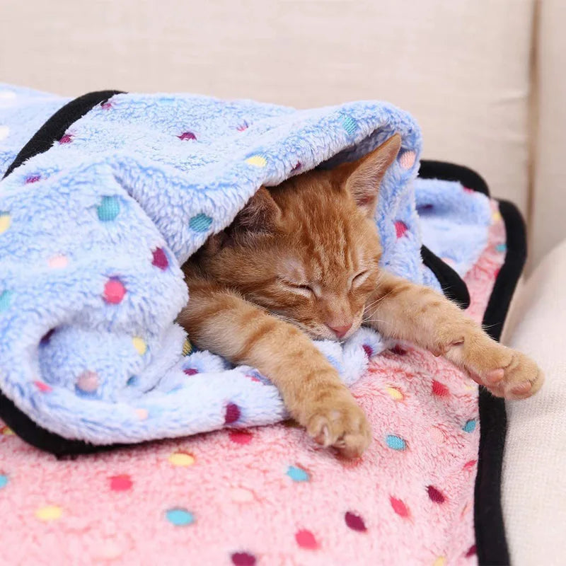 CosyPaws Snuggle Blanket
