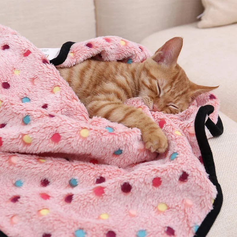 CosyPaws Snuggle Blanket