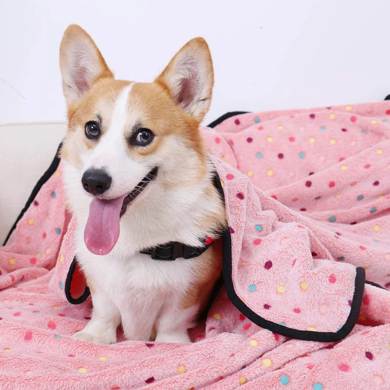 CosyPaws Snuggle Blanket